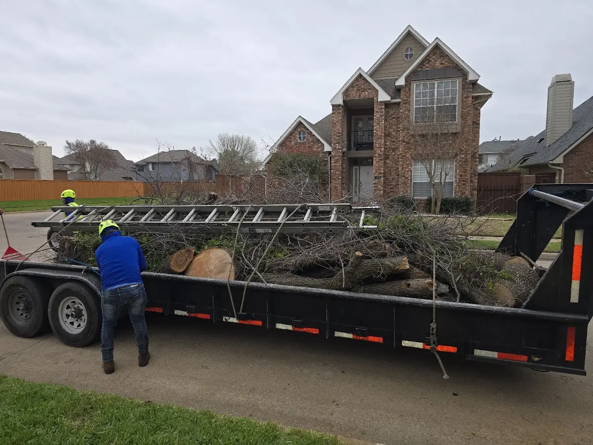 Expert Deadwooding with proper safety equipment in Flossmoor